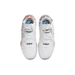 Nike LeBron 17 - Modèle Édition Limitée Pour Joueurs Élite